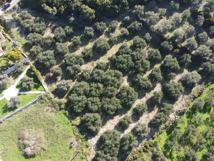 Image No.4-Plot for sale