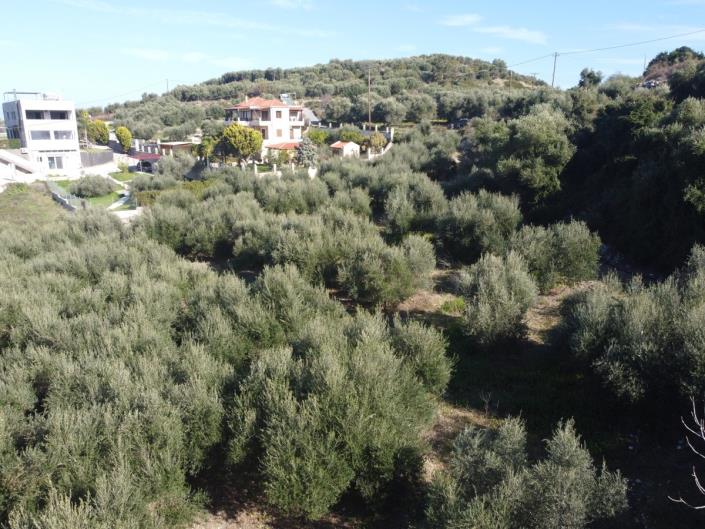 Image No.7-Plot for sale