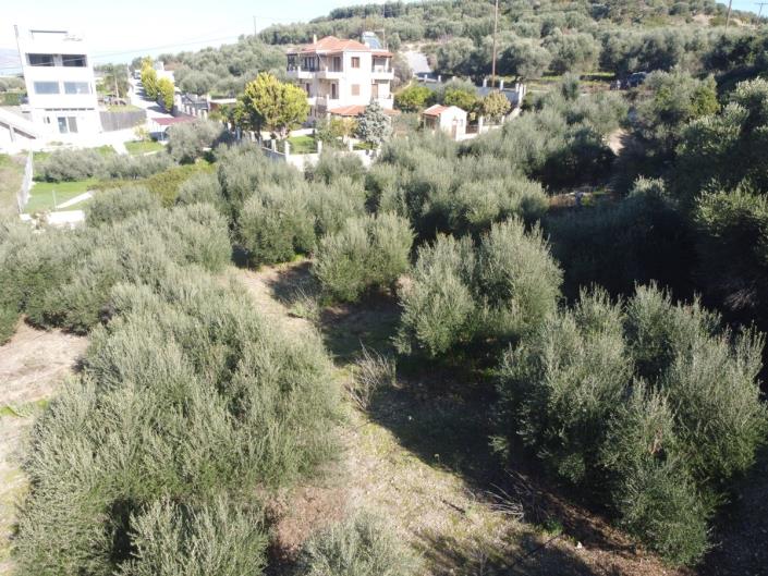 Image No.10-Plot for sale