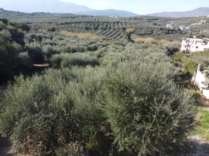 Image No.18-Plot for sale