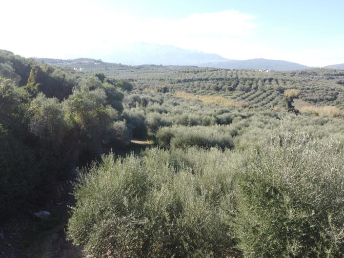 Image No.19-Plot for sale