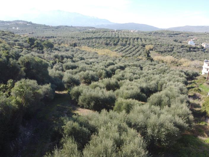 Image No.20-Plot for sale