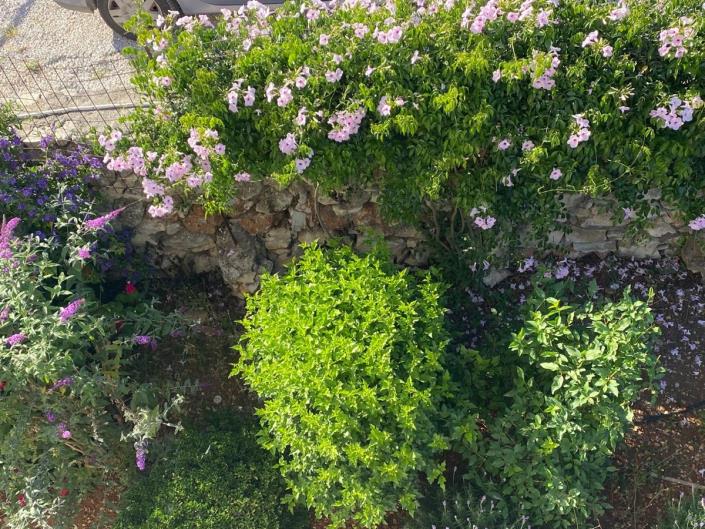 Image No.13-2 Bed House for sale