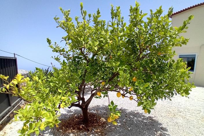 Image No.7-Villa de 2 chambres à vendre à Kefalas