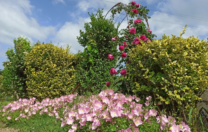 Image No.14-3 Bed House/Villa for sale