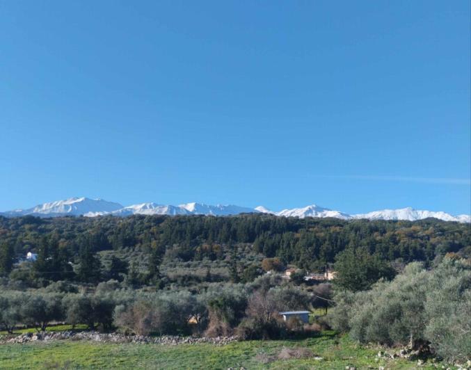 Image No.7-Maison de 2 chambres à vendre à Vamos