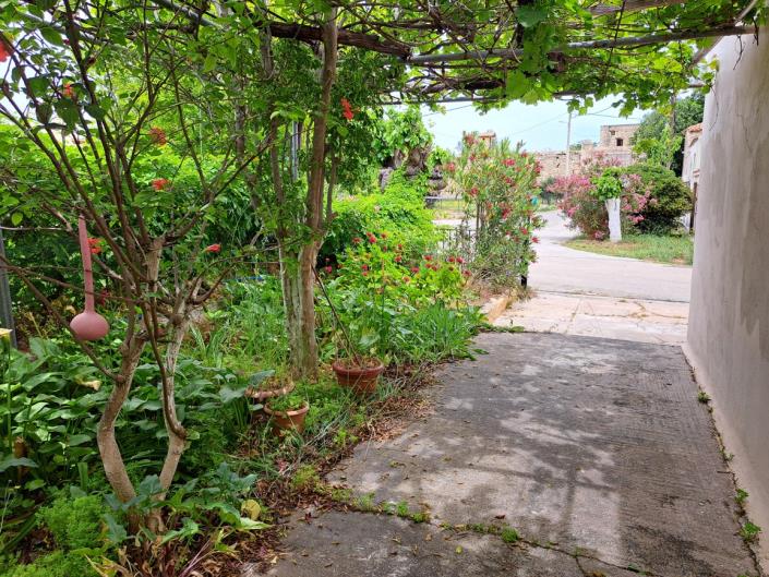 Image No.4-Maison de 2 chambres à vendre à Kalami