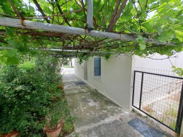 1 - Kalami, Maison