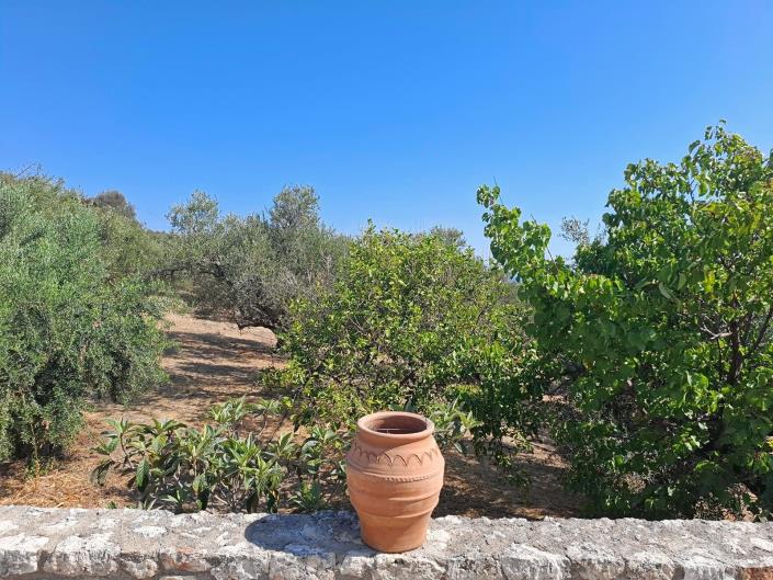 Image No.23-Appartement de 1 chambre à vendre à Tavronitis