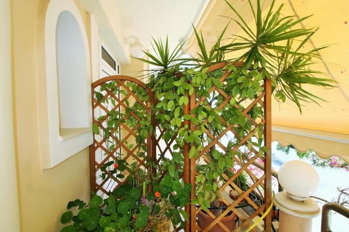 Image No.38-7 Bed Apartment for sale