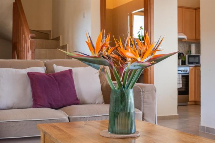 Image No.42-Villa de 2 chambres à vendre à Kolymbari