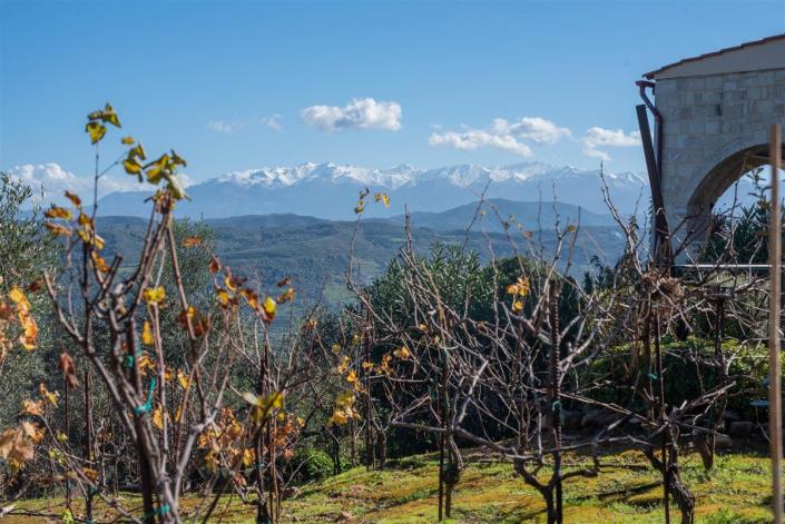 Image No.31-3 Bed Villa for sale