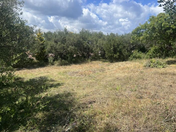 Image No.59-Villa de 4 chambres à vendre à Gavalohori