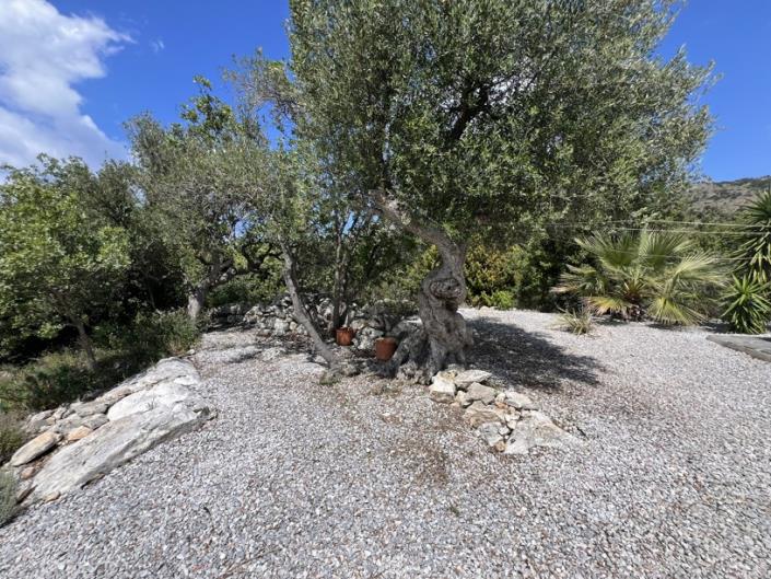 Image No.60-Villa de 4 chambres à vendre à Gavalohori