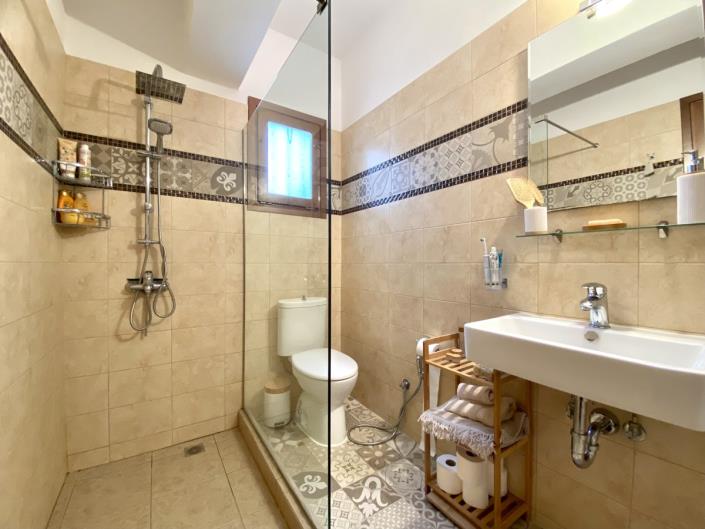 Image No.40-Villa de 4 chambres à vendre à Xirosterni