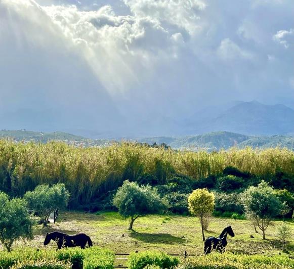 Image No.19-3 Bed Villa for sale