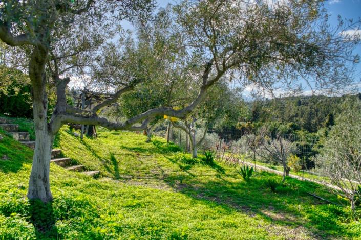 Image No.11-5 Bed Villa for sale