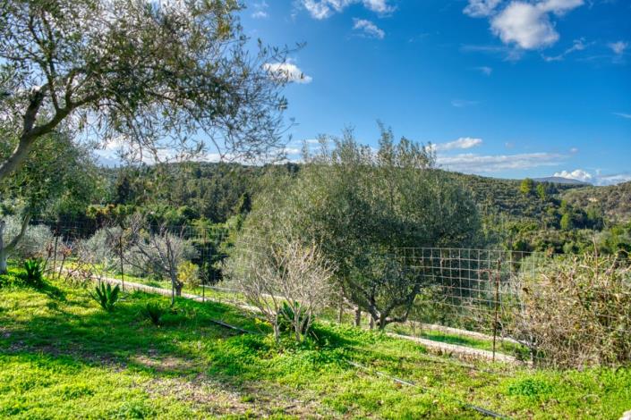 Image No.12-5 Bed Villa for sale