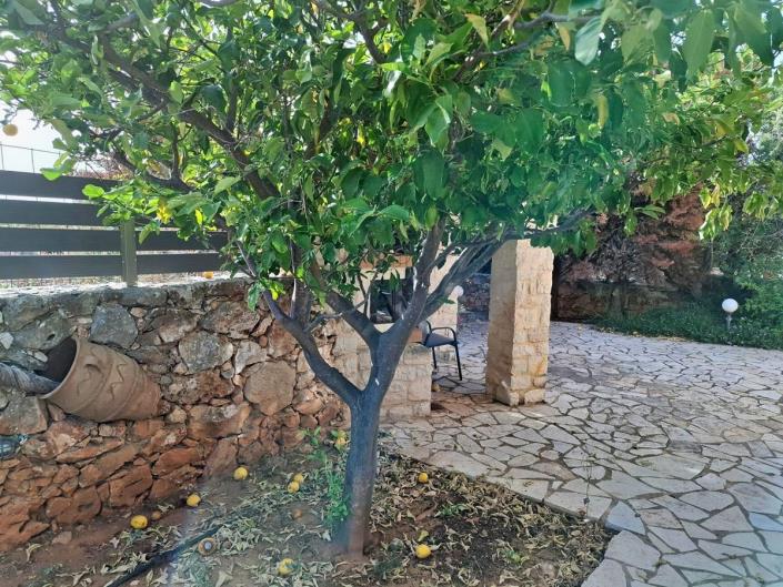 Image No.31-2 Bed House/Villa for sale