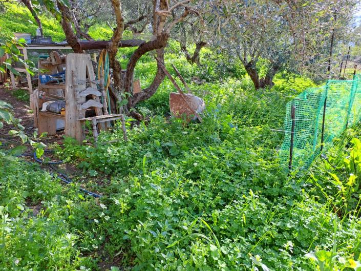 Image No.11-Appartement de 2 chambres à vendre à Plaka