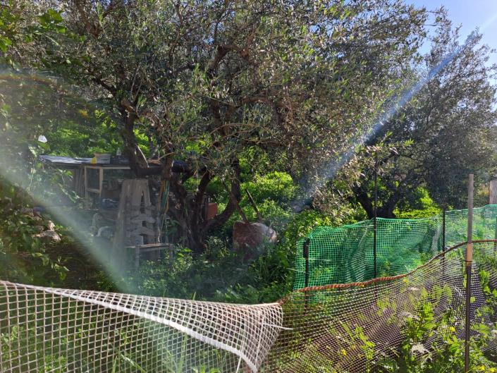 Image No.14-Appartement de 2 chambres à vendre à Plaka