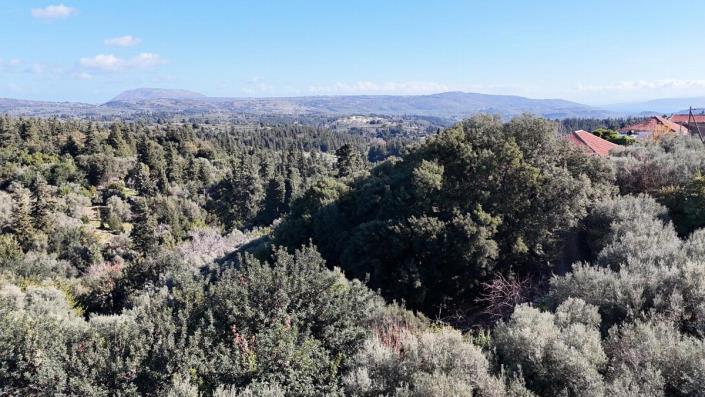 Image No.6-2 Bed Villa for sale