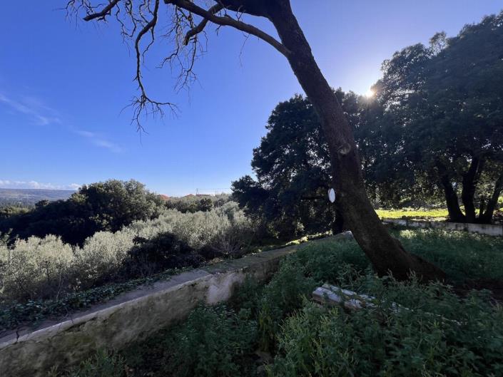 Image No.13-2 Bed Villa for sale