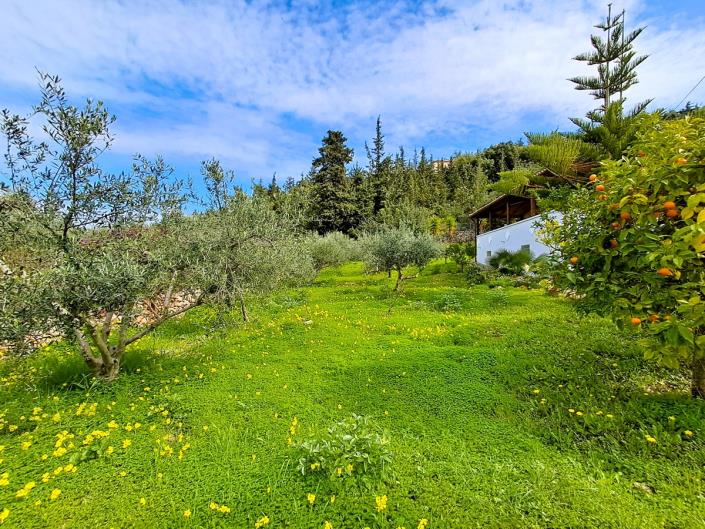 Image No.21-3 Bed Villa for sale