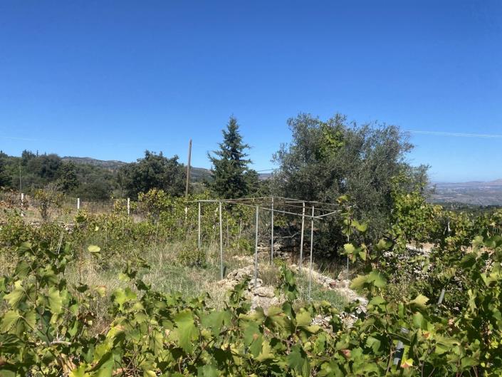 Image No.4-3 Bed House for sale