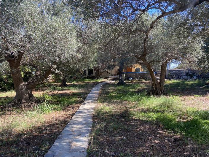 Image No.12-3 Bed House for sale