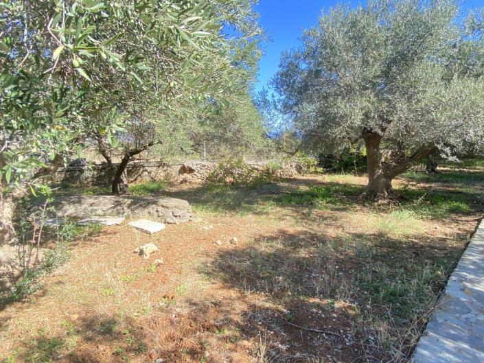 Image No.28-3 Bed House for sale