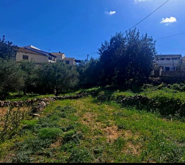 Image No.2-2 Bed House for sale