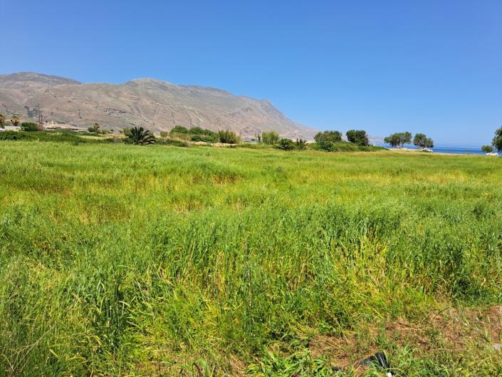 Image No.12-Land for sale