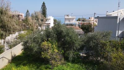 DJI_0052