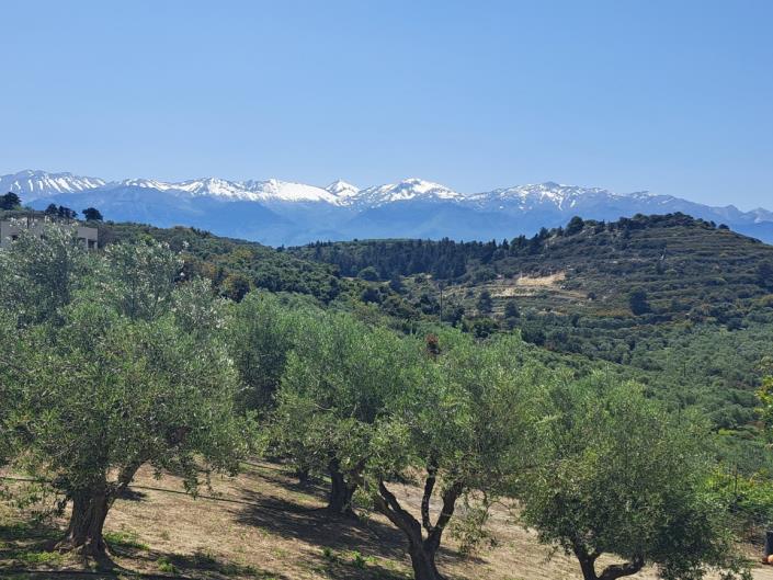 Image No.7-4 Bed Villa for sale