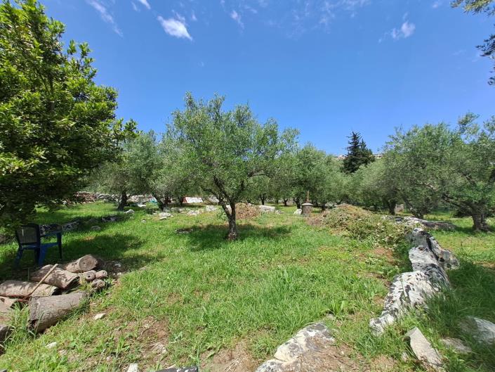 Image No.12-3 Bed Villa for sale