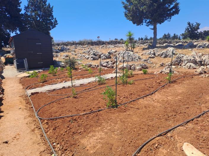 Image No.26-4 Bed Villa for sale