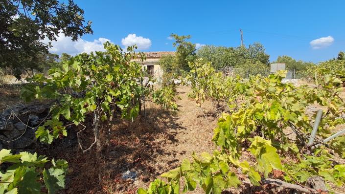 Image No.20-2 Bed House for sale