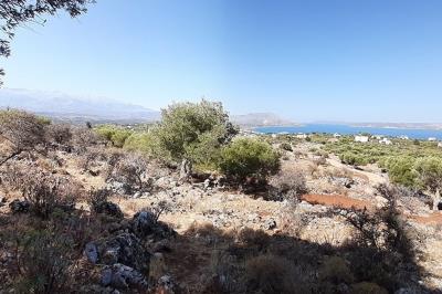 Project-For-Sale-In-Kokkino-Chorio--IMG-20250825-WA0009