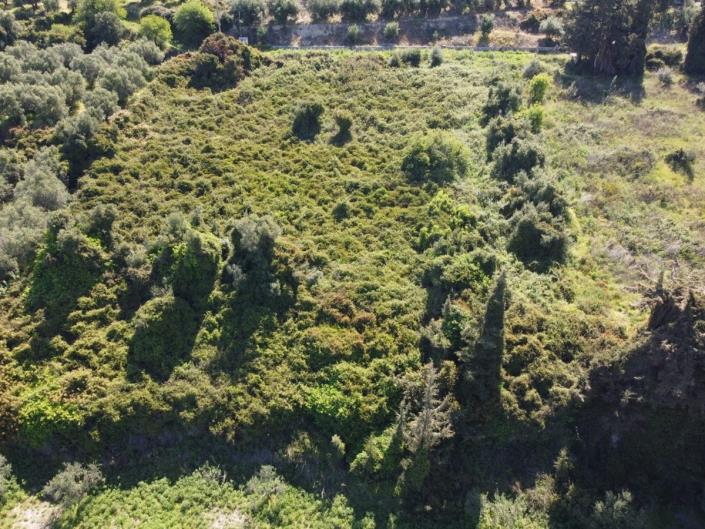 Image No.2-Terre à vendre à Kera