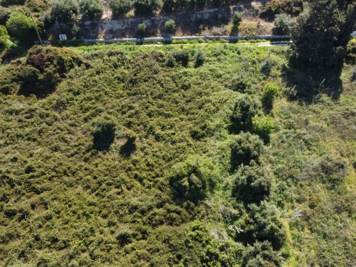 Image No.5-Terre à vendre à Kera