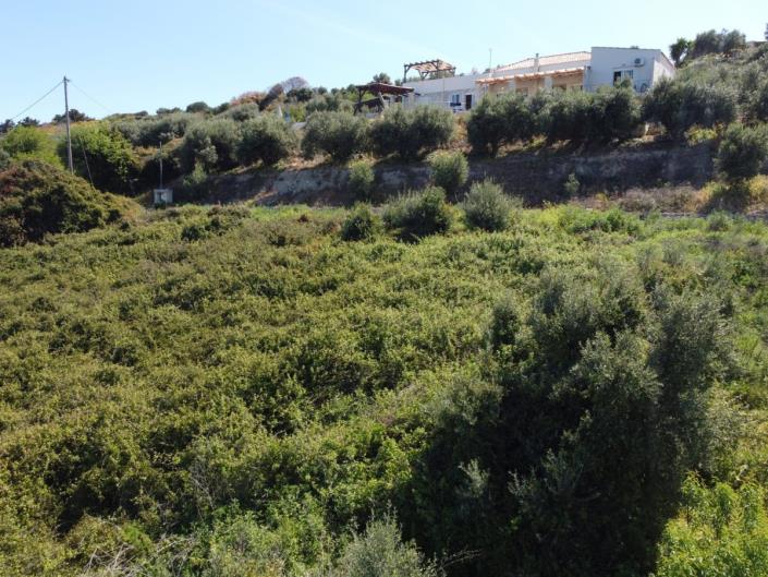 Image No.8-Terre à vendre à Kera