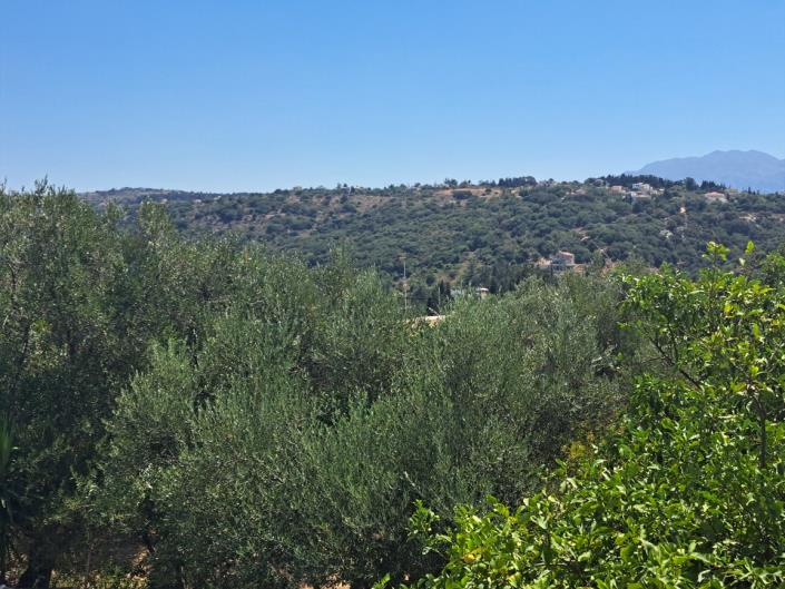 Image No.19-Maison de 3 chambres à vendre à Douliana