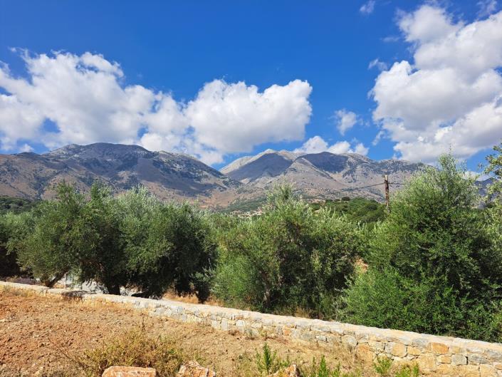 Image No.13-Villa de 3 chambres à vendre à Kastelli