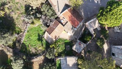 DJI_20251125101453_0005_D