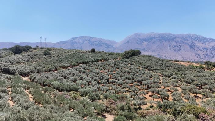 Image No.8-House for sale