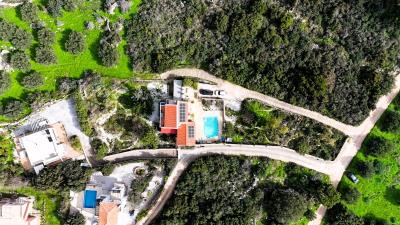 DJI_20260204120617_0050_D