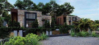 expansive-mansions-with-private-pools-grounds
