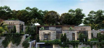 expansive-mansions-with-private-pools-grounds