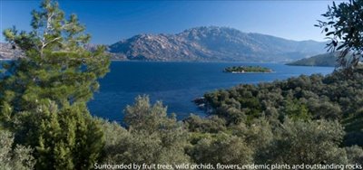 bafa-lake-hotel-farm-project-482-202112060959